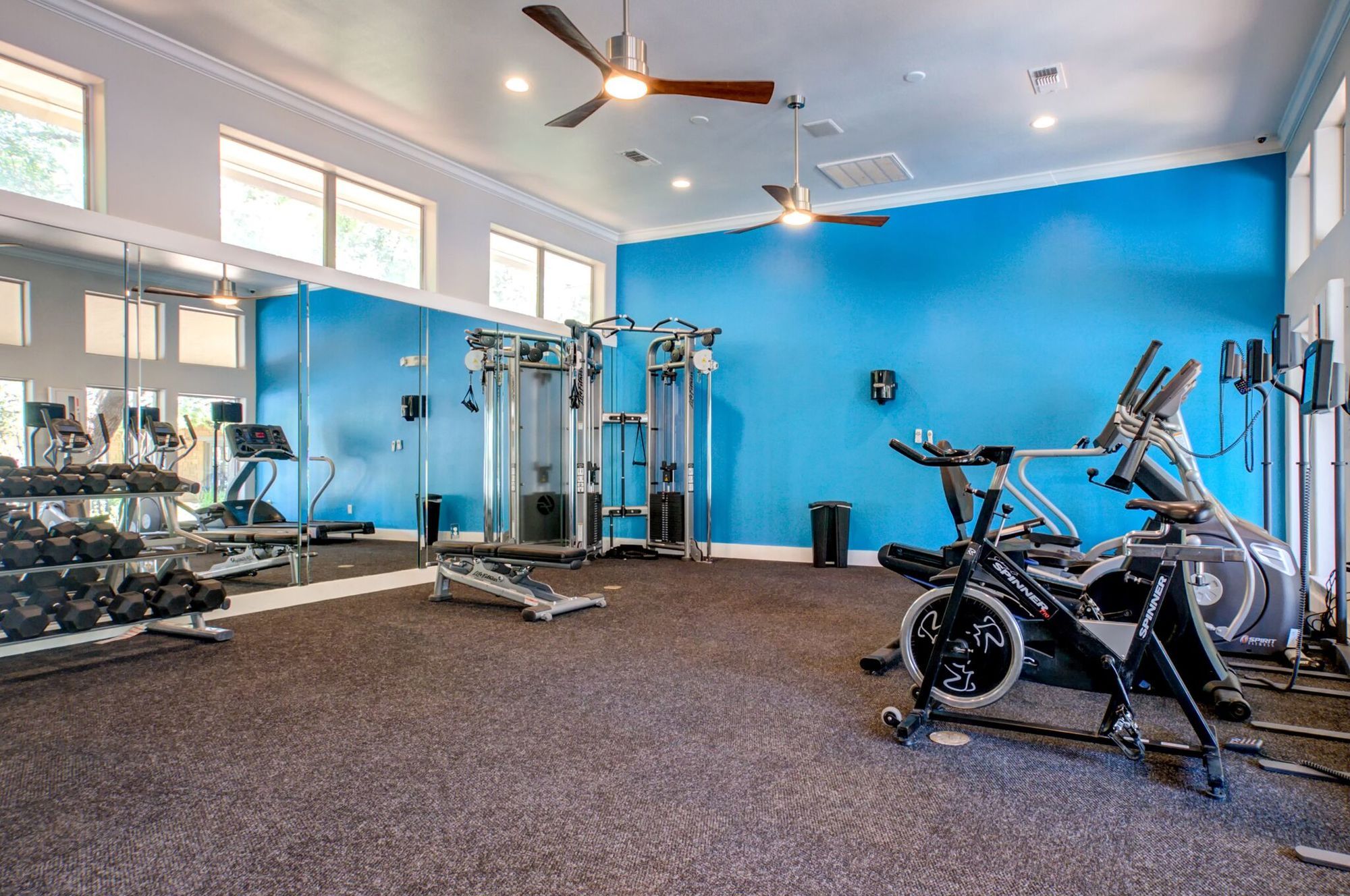 The Niche Apartments Image 2