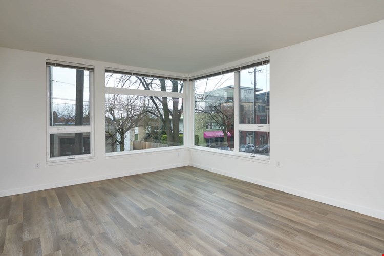 Springline  Image 12