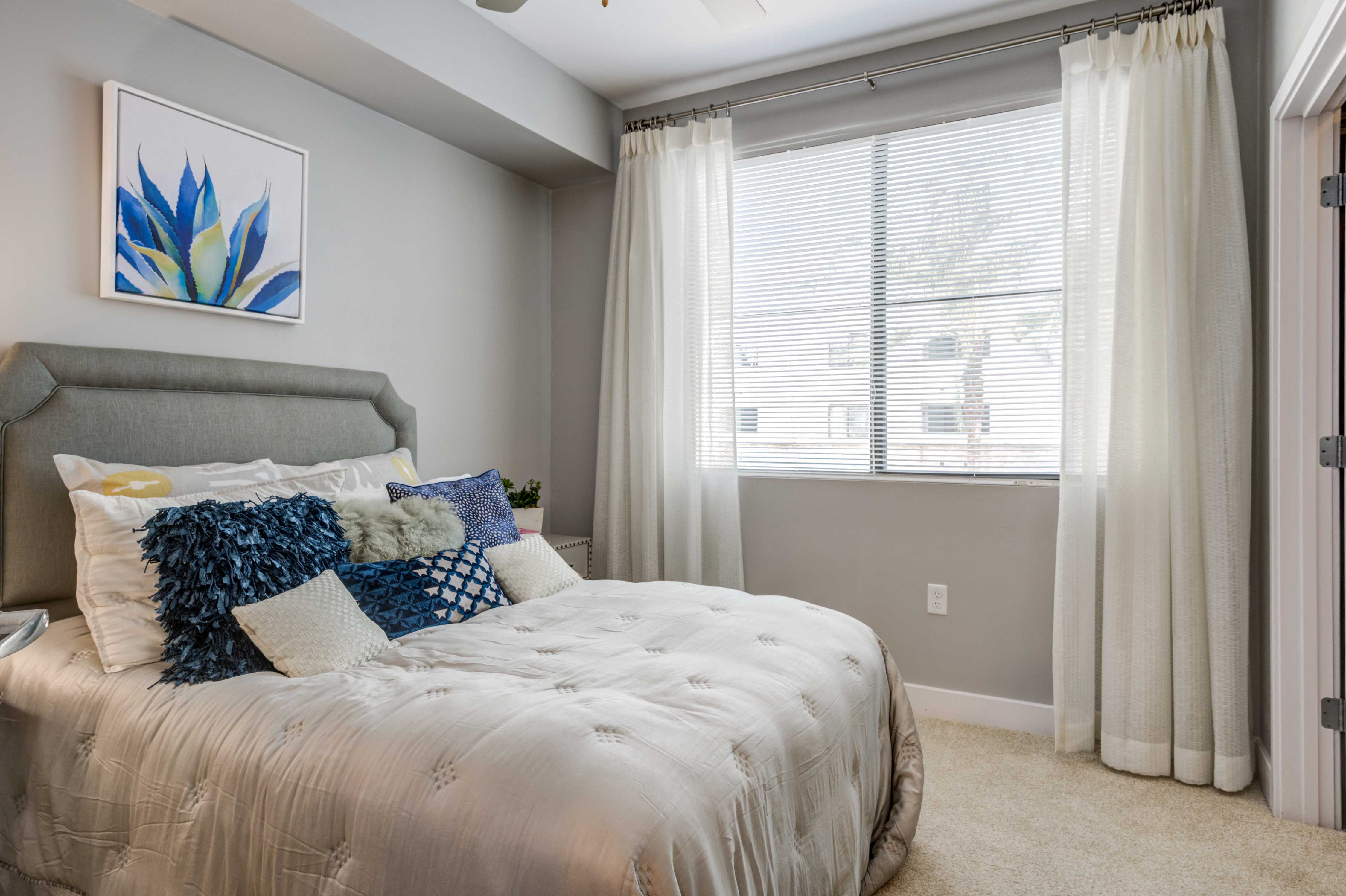 Biltmore at Camelback Image 6