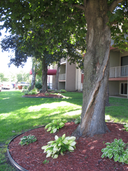 Johnson Parkway Image 4