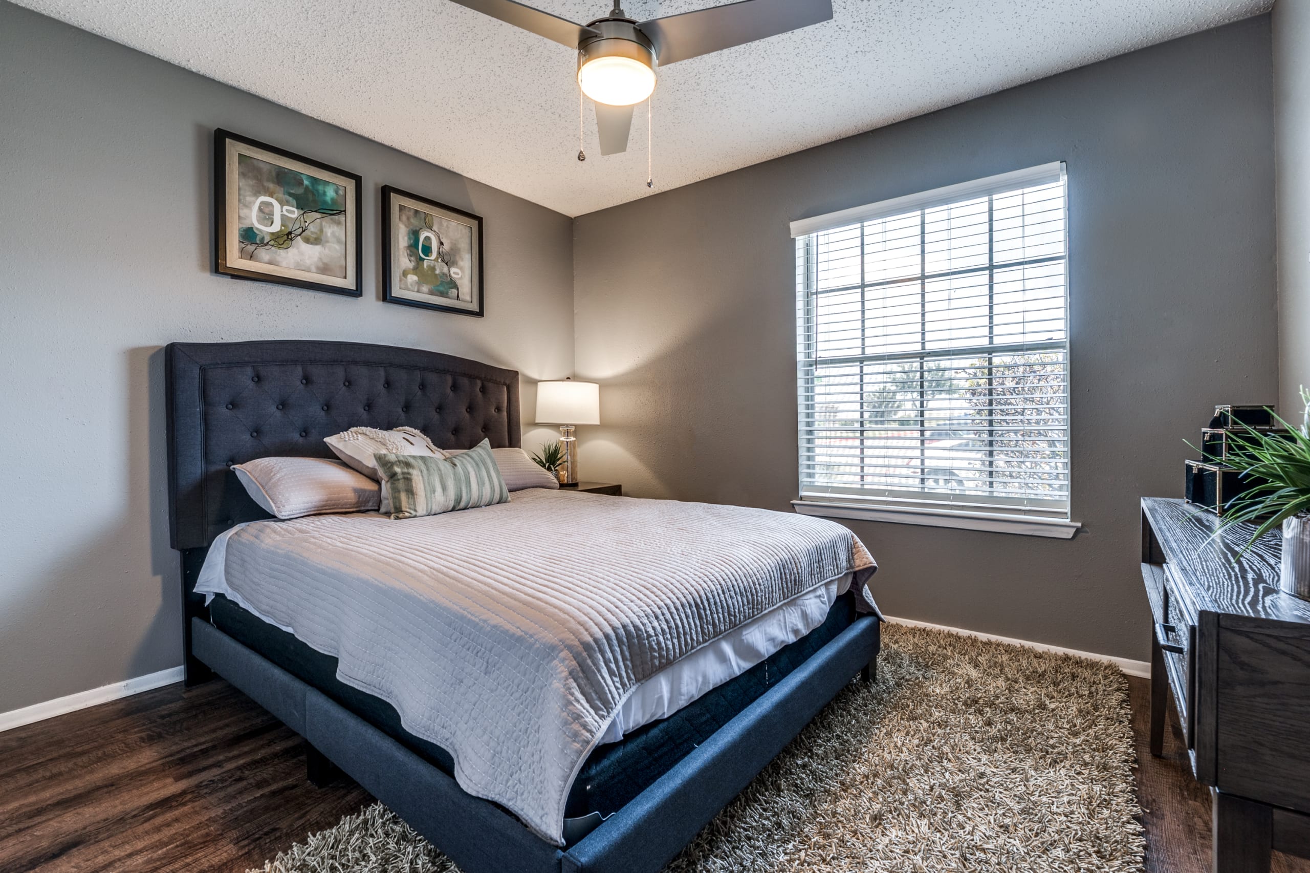 Ashton Apartments Image 5