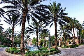 The Grove at Turtle Run Image 14