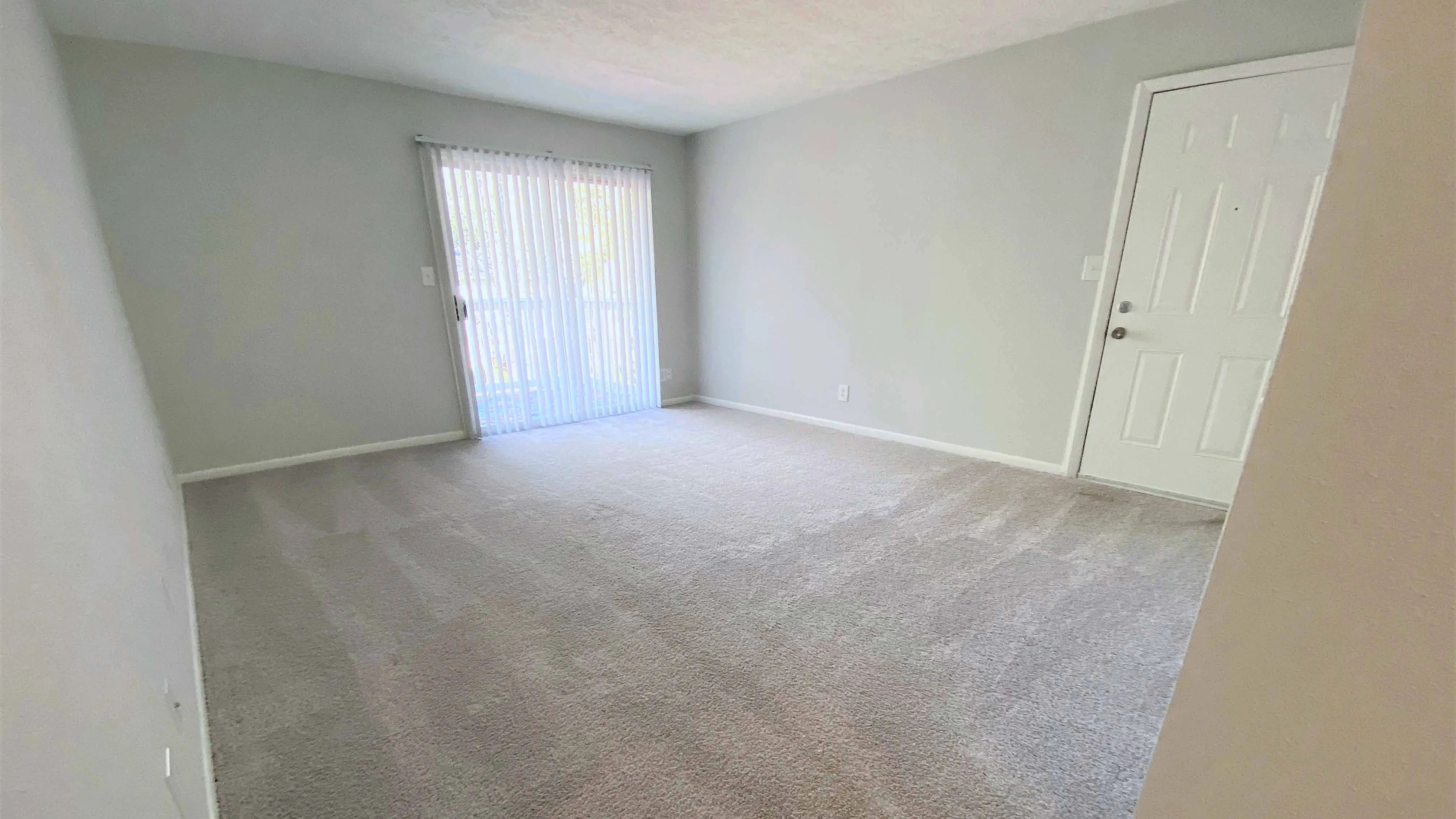 Embrace comfort in our spacious living rooms adorned with plush carpeting and sun-drenched large windows and patio doors with privacy blinds.