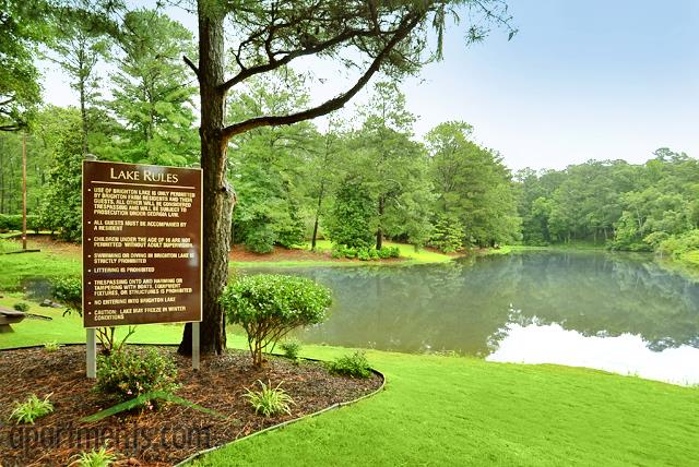 Brighton Farms Image 6