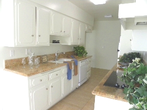 The Continental Arcadia Image 14