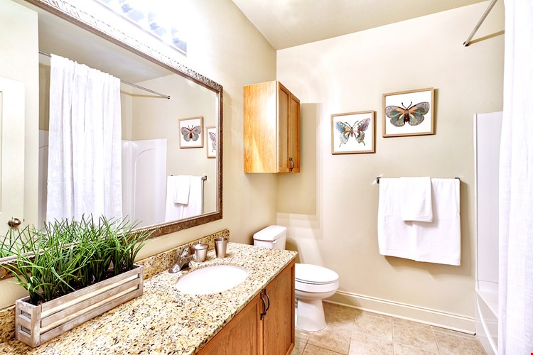 City Heights at Dutchtown Image 8