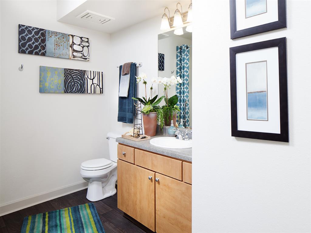 Master bathroom with new plank flooring, upgraded cabinetry and high-end fixtures.