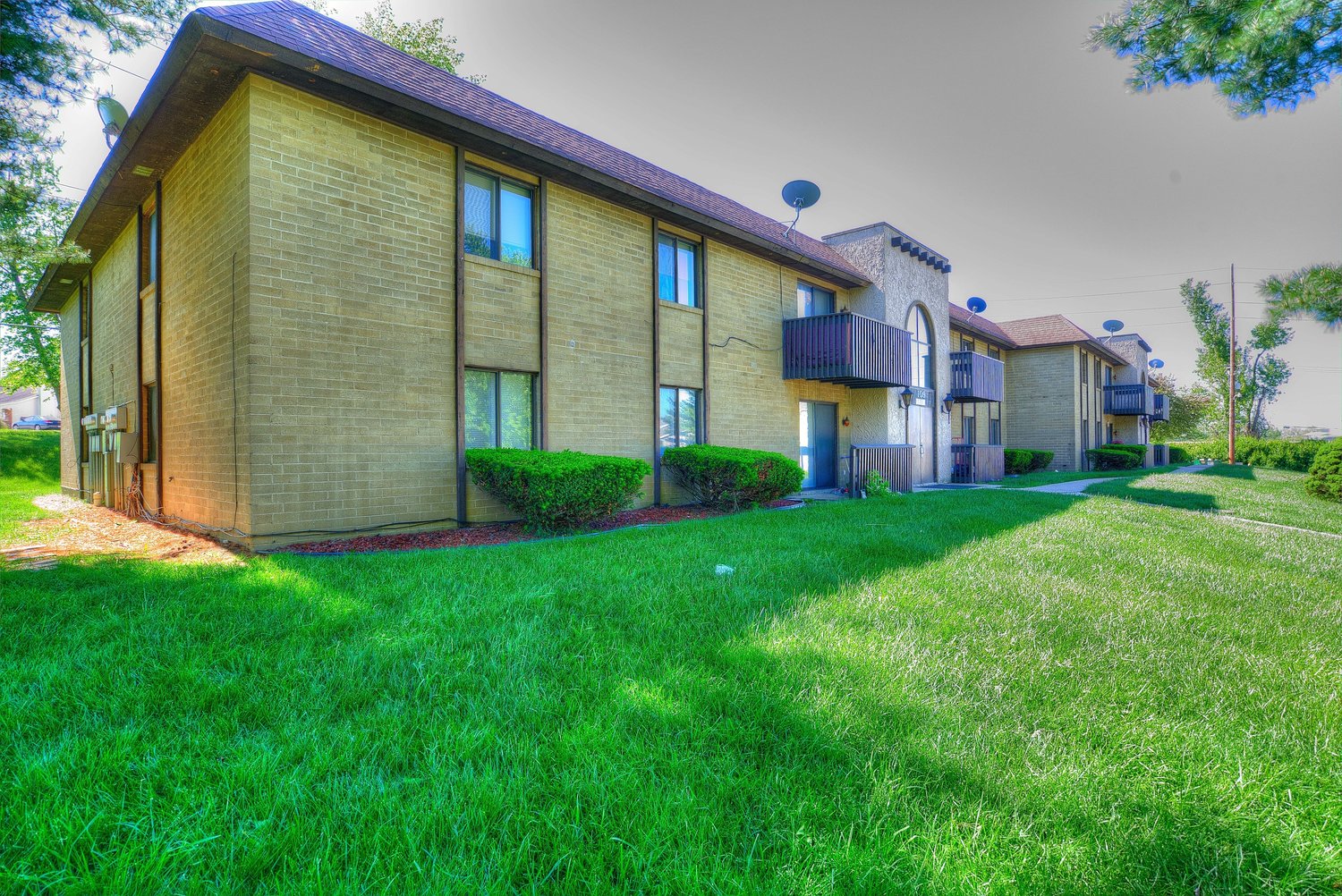 Storyboard on Sugar Pine Image 3