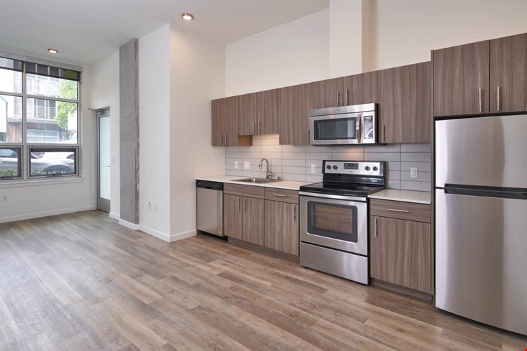 Springline  Image 53