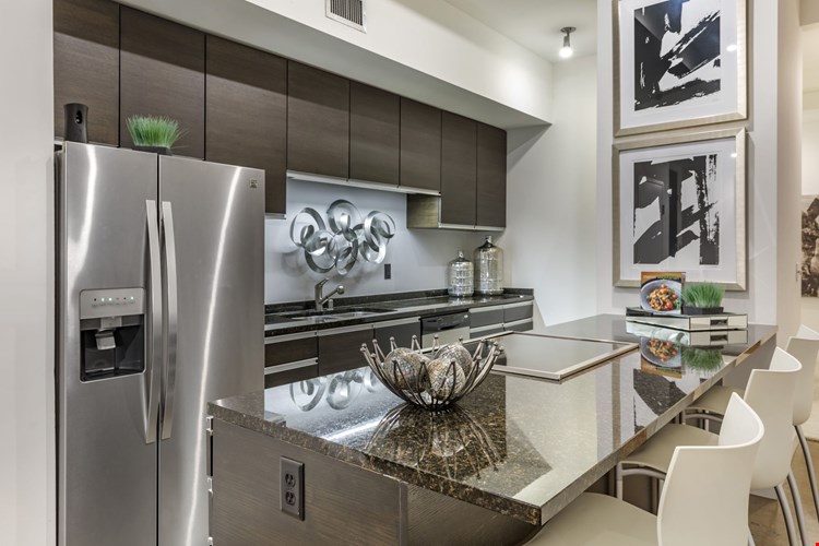 Mosaic Dallas Image 12