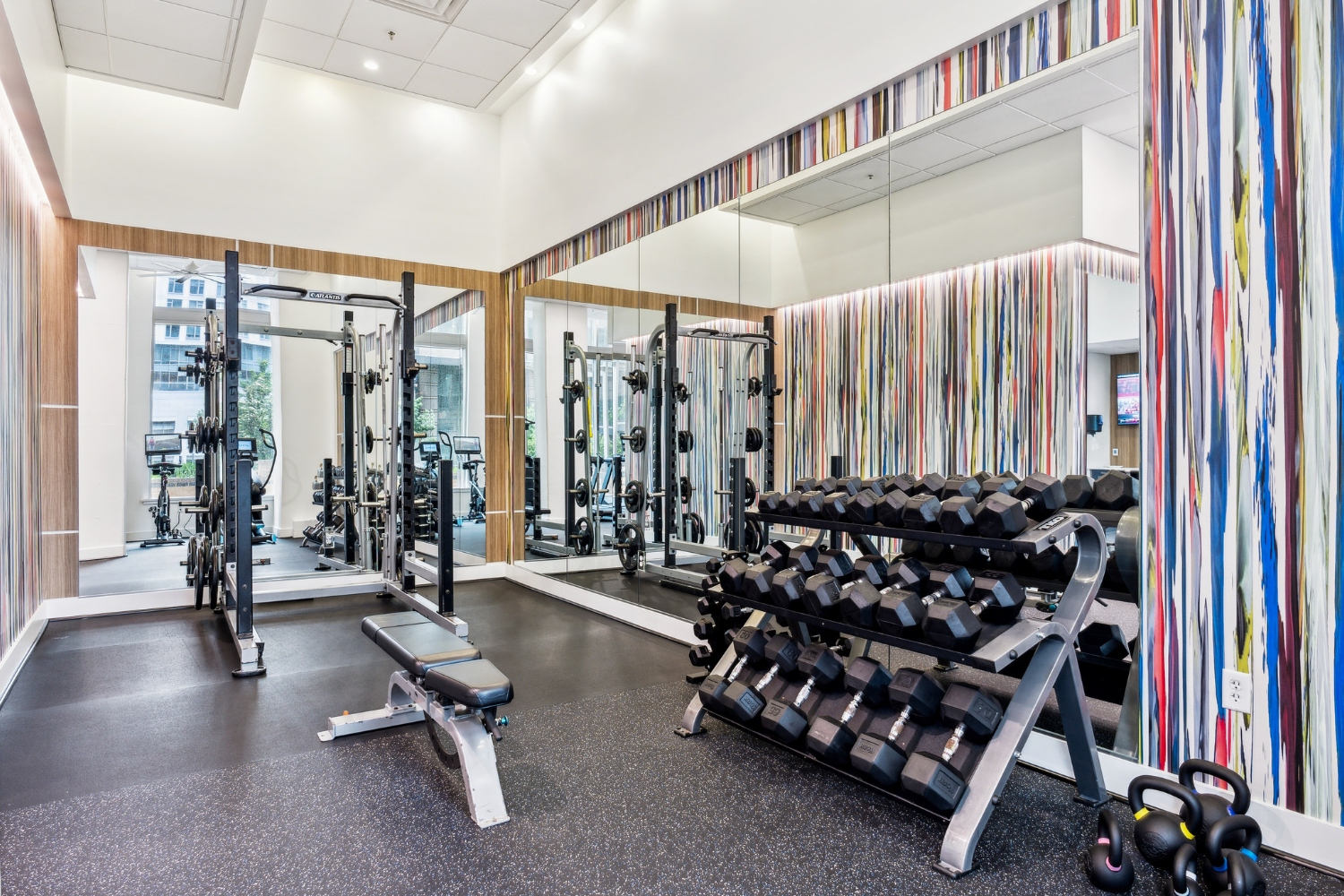 The View Ballston Image 6