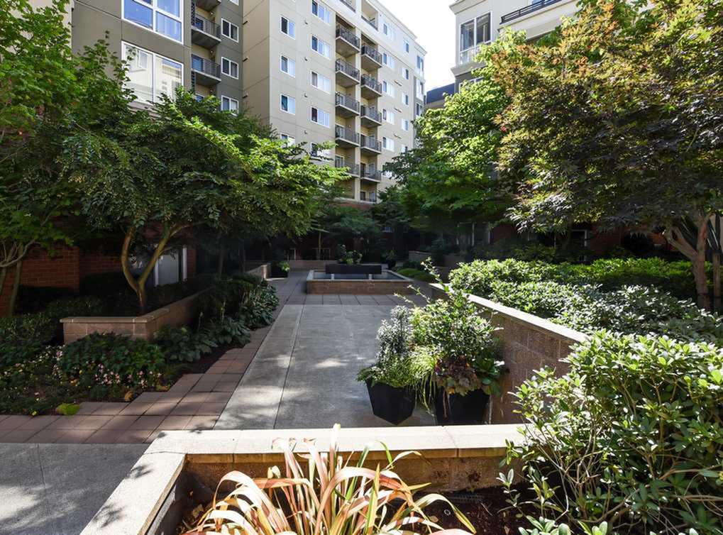 AMLI at Bellevue Park Image 20