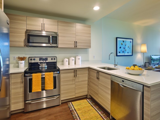 Hudson Lights Image 3