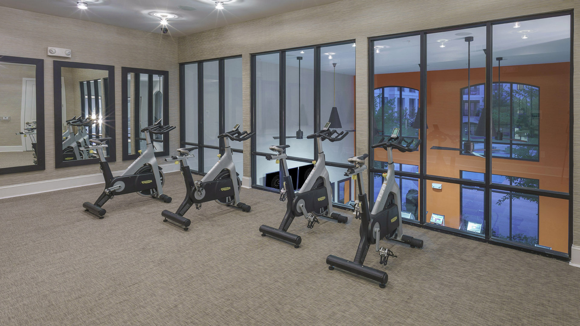 The Collection Image 47