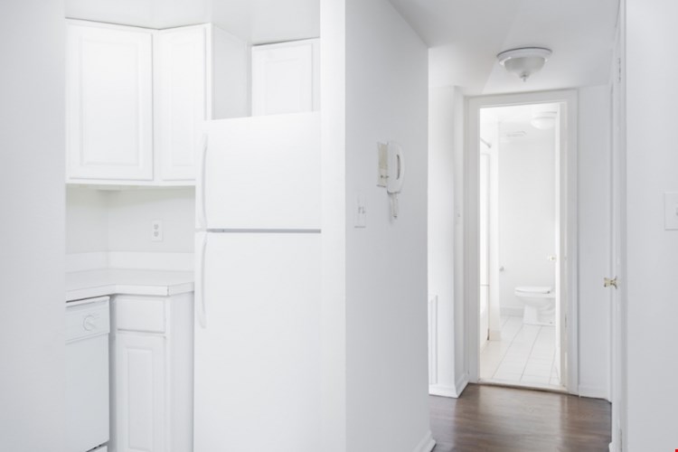 526 Spruce Street Image 6