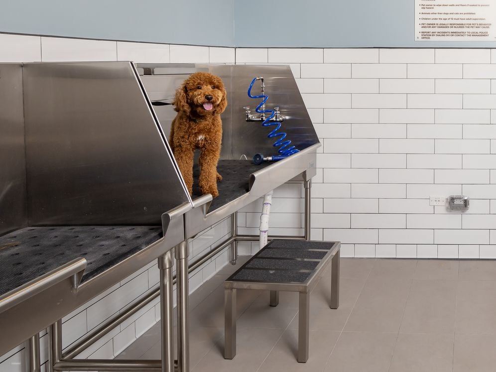 Pet-friendly community with WAG Pet Spa