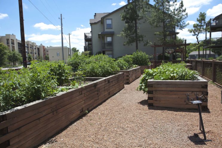 Crown Woods Image 10