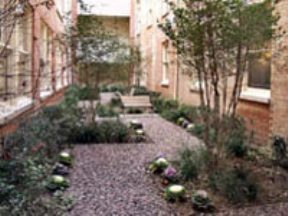 Homes of Parker Commons Image 7