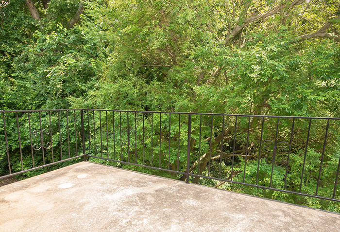 Pines on Scott Image 7