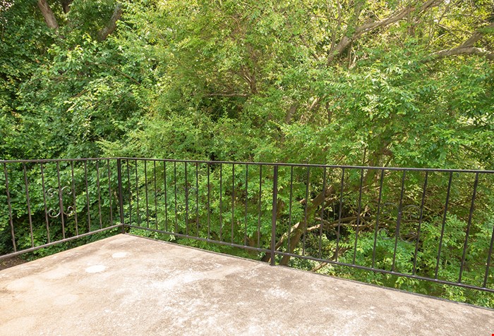 Pines on Scott Image 7