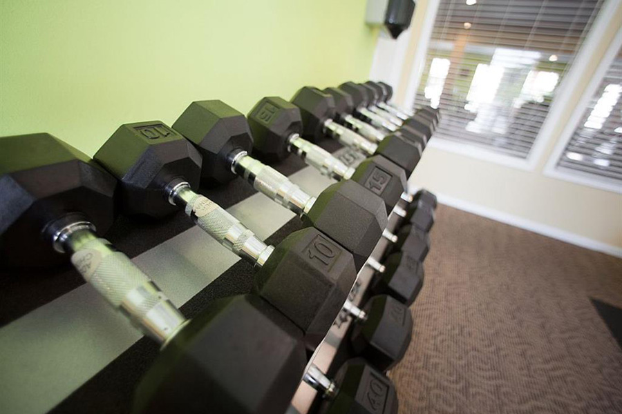  Serafina at South Mountain Image 24