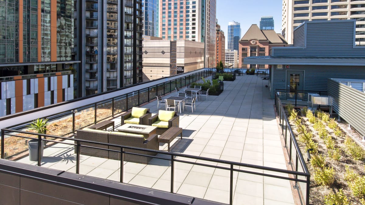 Nine and Pine Image 4