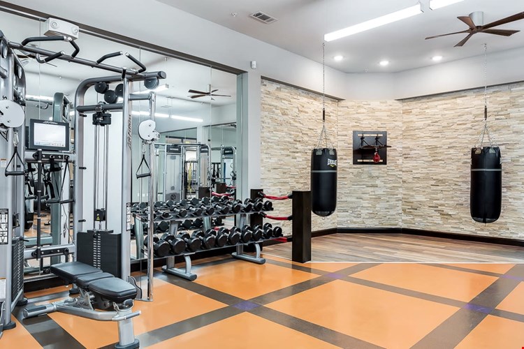 Edge and Stone Apartments Image 5