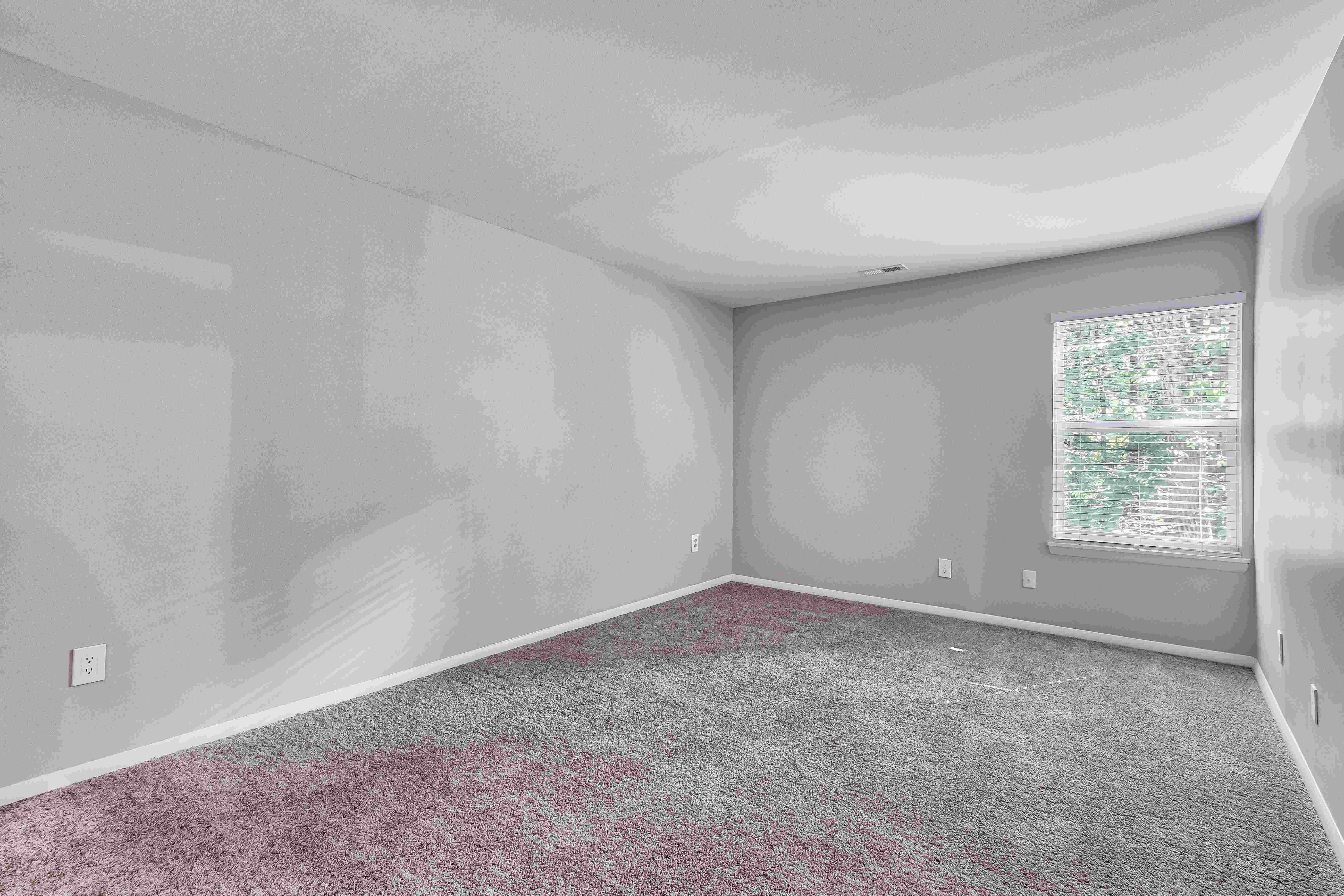 Woods of Williamsburg Image 12