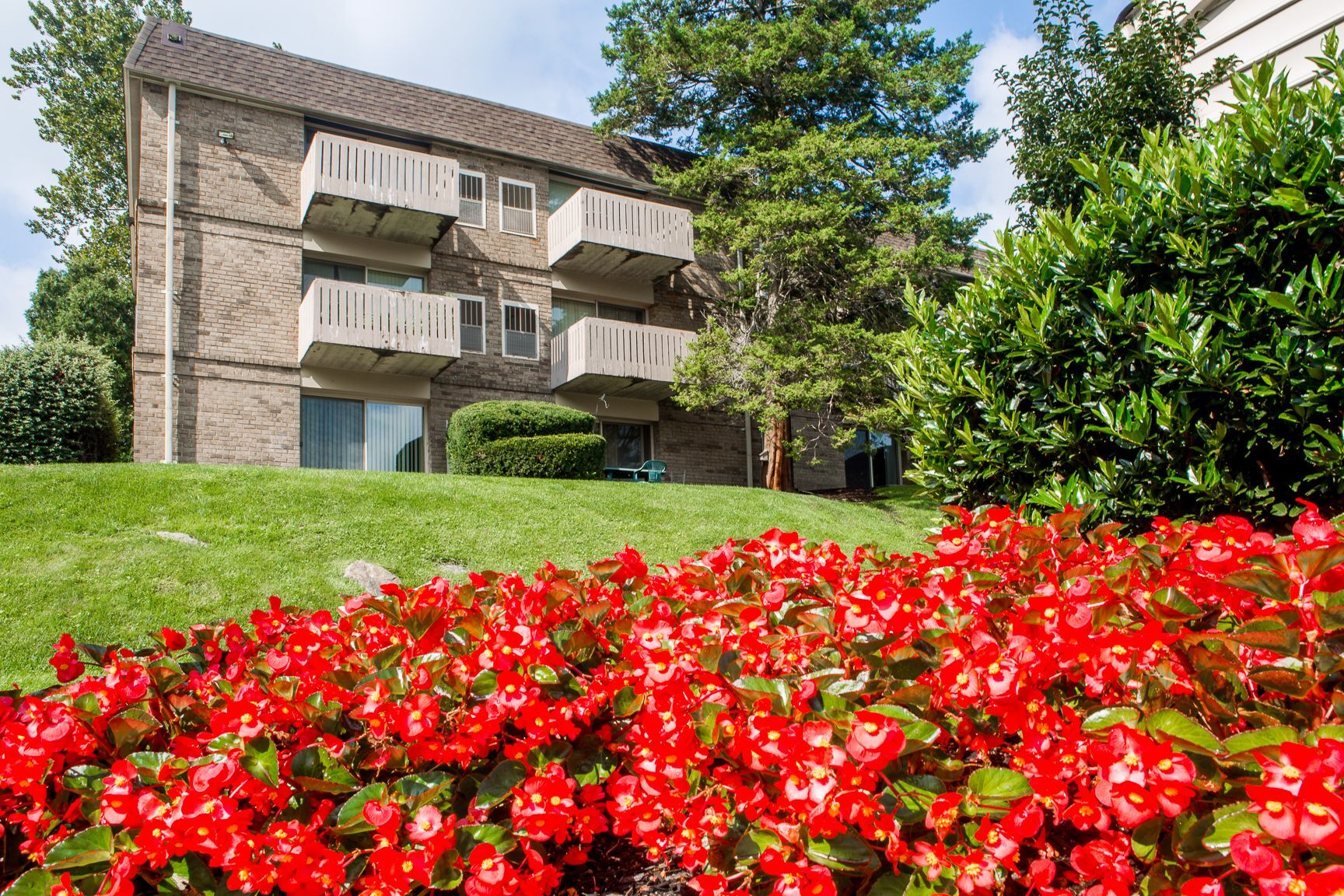 Top of the Hill Apartments Image 28