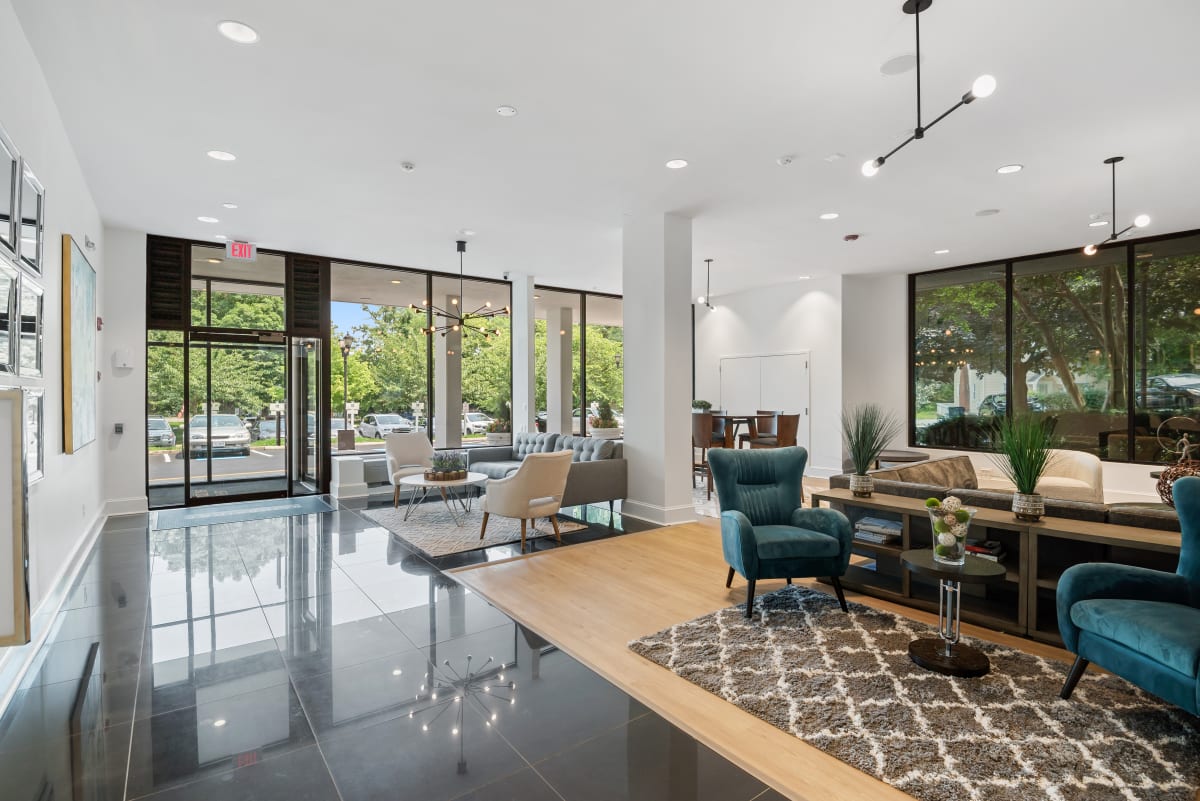 The Horizons Image 6