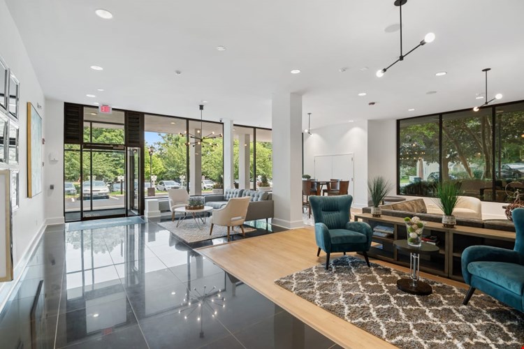 The Horizons Image 6