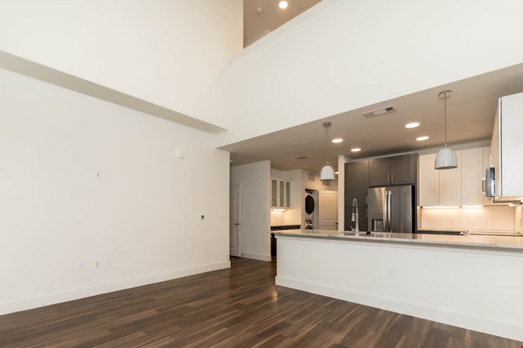 Olivian at the Realm Image 7