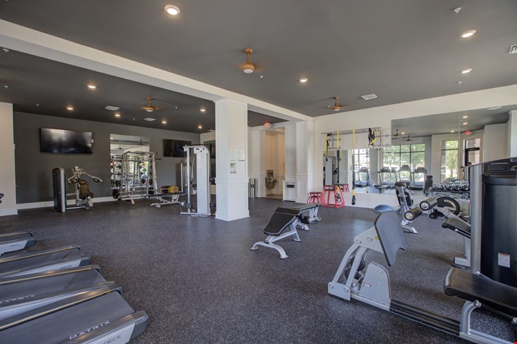 Holly Crest Image 16