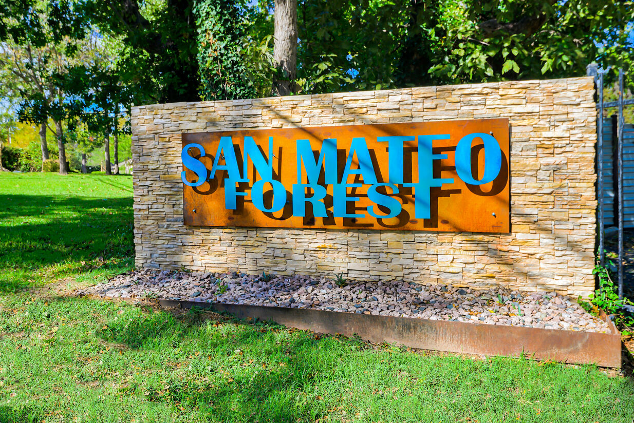 San Mateo Forest Image 2