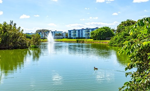 Costa Del Lago Image 1