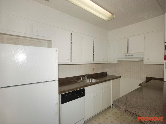 Southern Trace Image 4