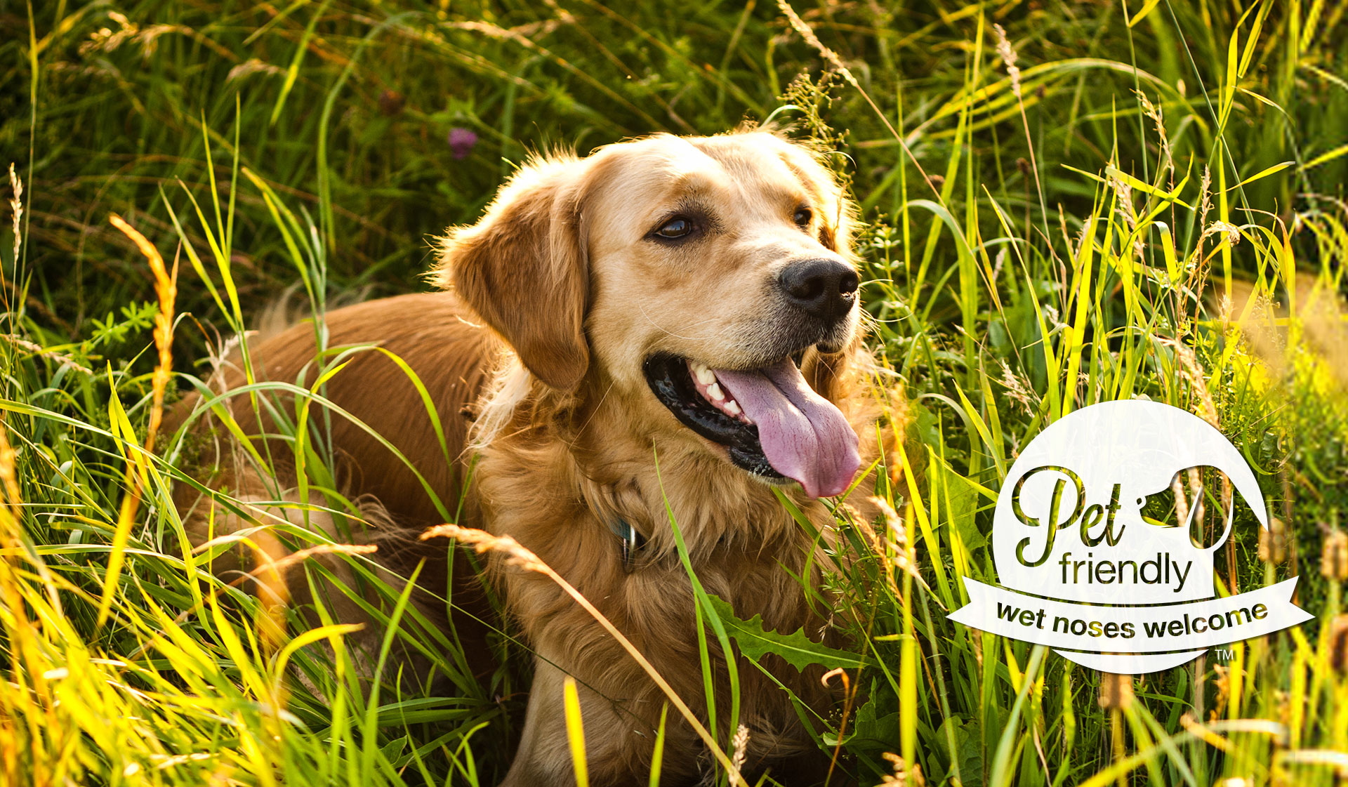 Our community is pet friendly