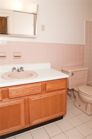 Tivoli Gardens Image 3