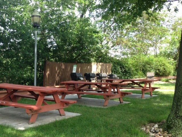 Lovely Outdoor Picnic Area with Grills