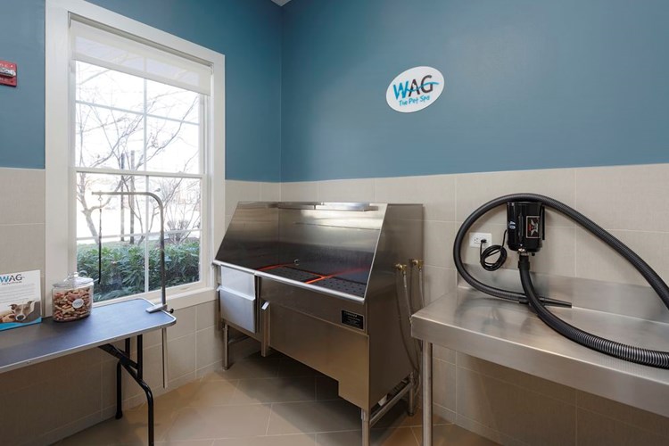 WAG pet spa with bathing area and grooming equipment