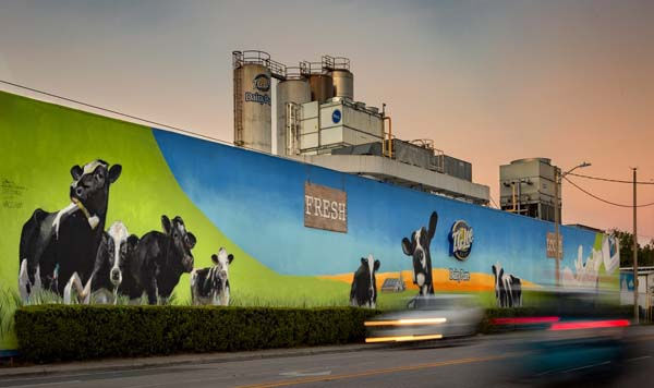 Camden Thornton Park Image 42