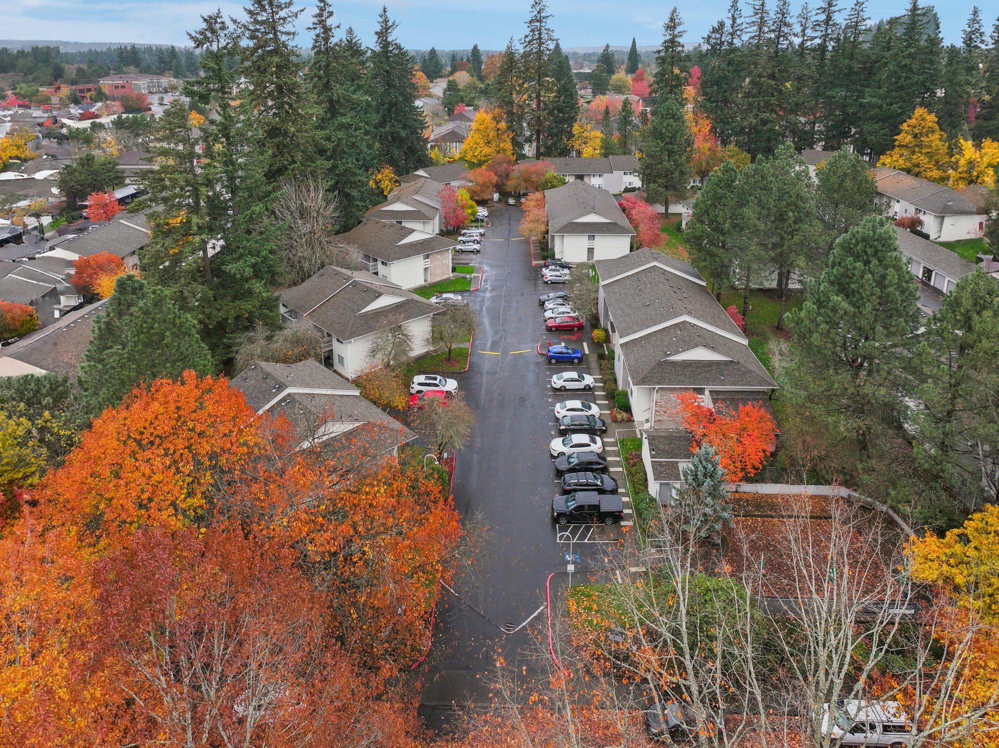 Eleven Pines Image 19