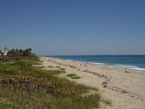 Beach 2