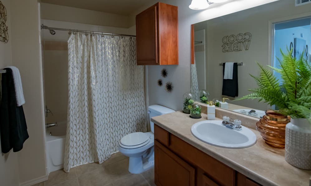  Nickel Creek Apartments Image 10