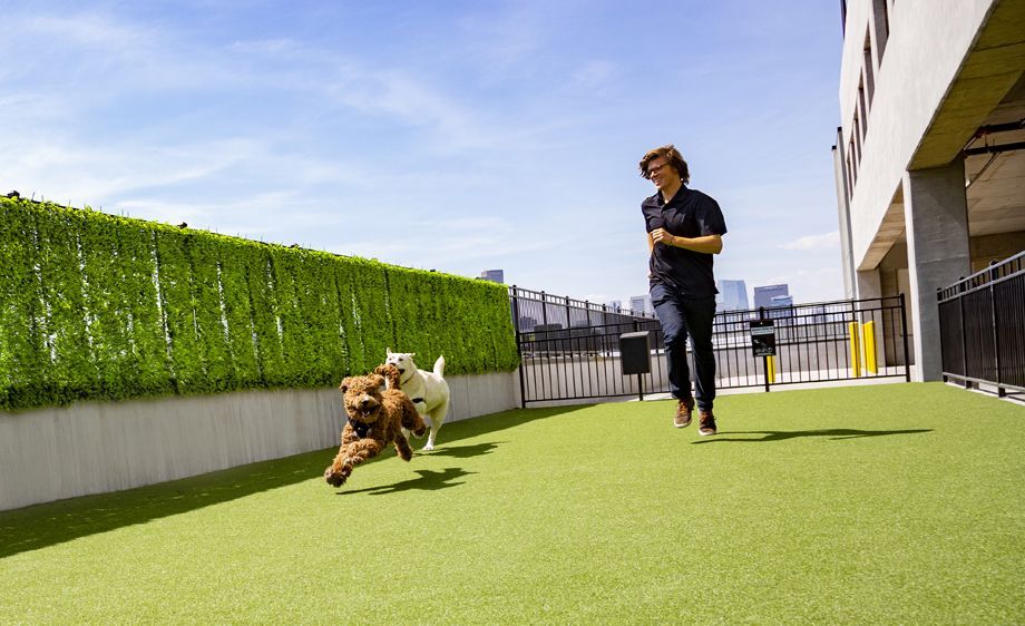 Camden RiNo Image 32