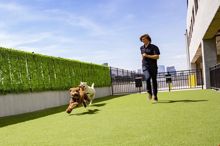 Camden RiNo Image 32