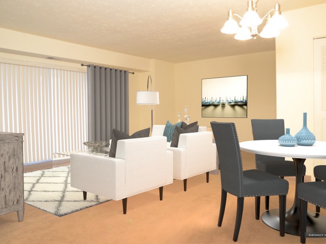 Modern Living Room/Dining Room