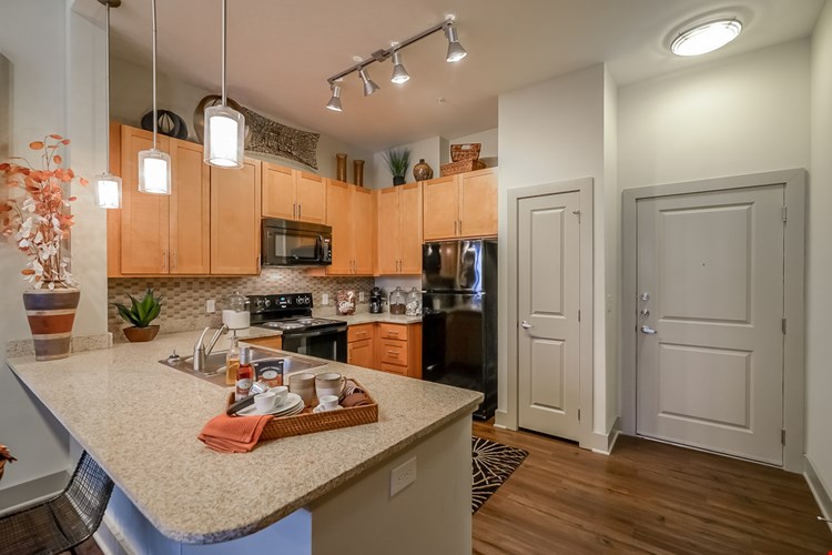 Eleven North Image 4