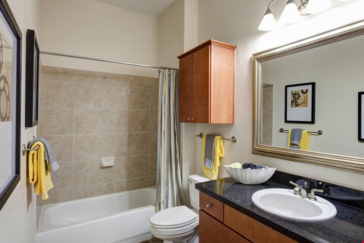 Apartments At Amli Las Colinas Irving