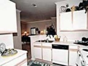 Saddle Ridge Image 3